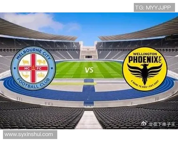 惠灵顿与墨尔本城比赛结果揭晓双方表现分析与未来展望