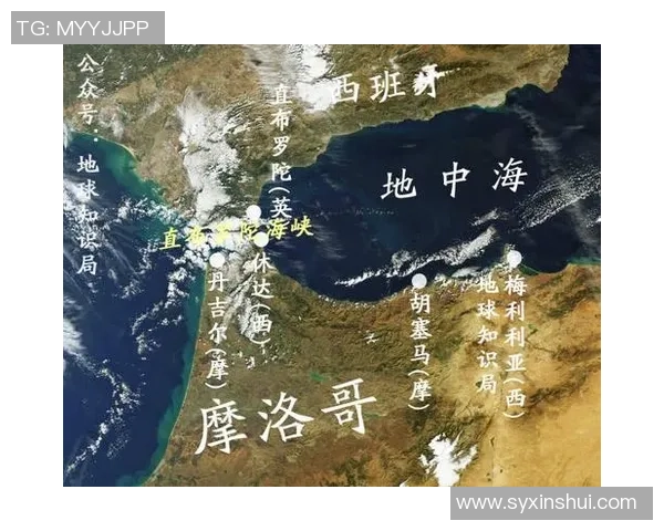 摩洛哥与伊朗比赛后详细统计数据分析与解读